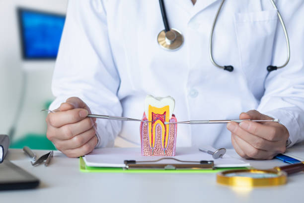 Best Emergency Root Canal Treatment in Pontotoc, MS
